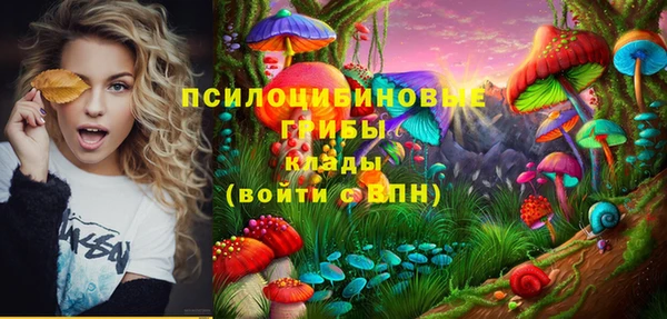 бутират Дмитровск